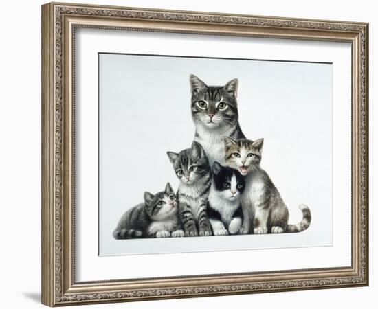 Cat Family-Harro Maass-Framed Giclee Print