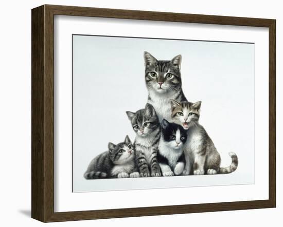 Cat Family-Harro Maass-Framed Giclee Print