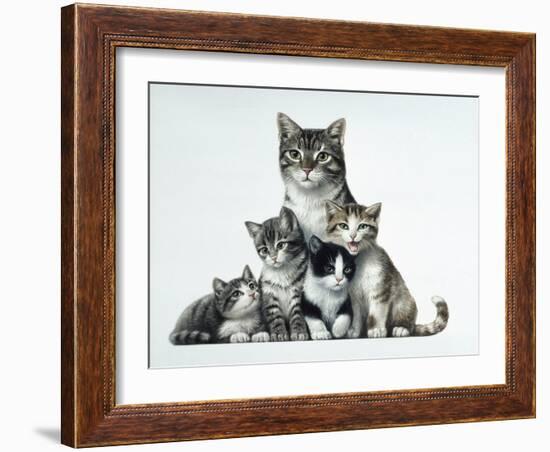 Cat Family-Harro Maass-Framed Giclee Print