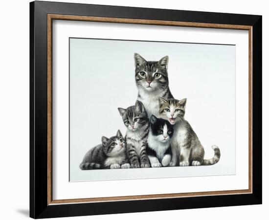 Cat Family-Harro Maass-Framed Giclee Print