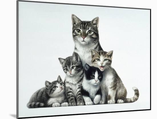 Cat Family-Harro Maass-Mounted Giclee Print