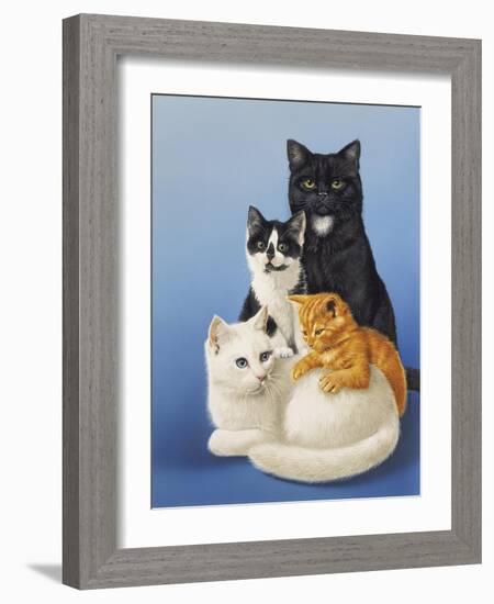 Cat Family-Harro Maass-Framed Giclee Print