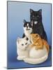 Cat Family-Harro Maass-Mounted Giclee Print