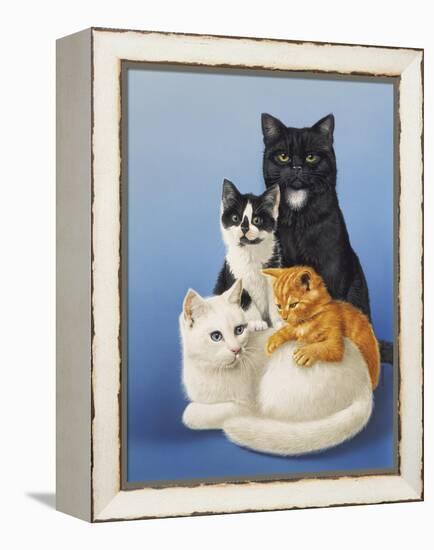 Cat Family-Harro Maass-Framed Premier Image Canvas