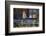 Cat, Felis catus, sitting on porch of old house-Larry Ditto-Framed Photographic Print