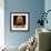 Cat Flea-null-Framed Photographic Print displayed on a wall