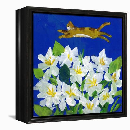 Cat Flying Over Flowers-sylvia pimental-Framed Stretched Canvas