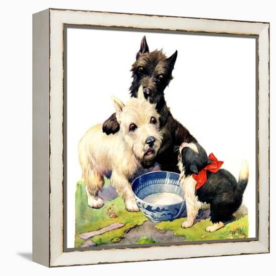 "Cat Guards Bowl of Milk,"February 27, 1926-Robert L. Dickey-Framed Premier Image Canvas