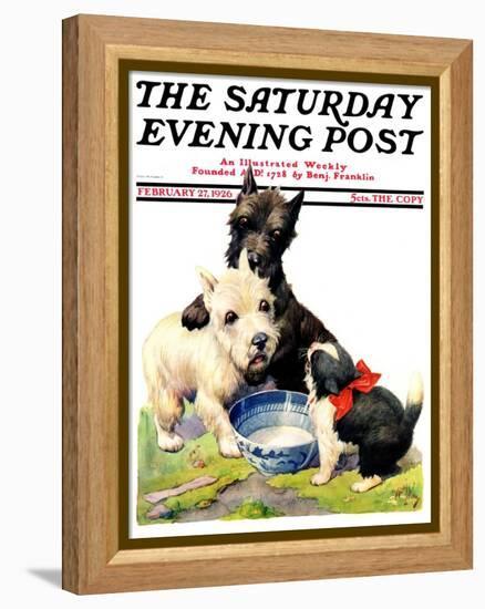 "Cat Guards Bowl of Milk," Saturday Evening Post Cover, February 27, 1926-Robert L. Dickey-Framed Premier Image Canvas