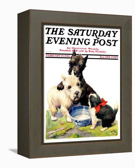 "Cat Guards Bowl of Milk," Saturday Evening Post Cover, February 27, 1926-Robert L. Dickey-Framed Premier Image Canvas