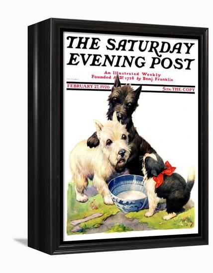 "Cat Guards Bowl of Milk," Saturday Evening Post Cover, February 27, 1926-Robert L. Dickey-Framed Premier Image Canvas