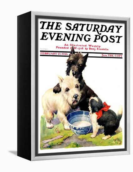 "Cat Guards Bowl of Milk," Saturday Evening Post Cover, February 27, 1926-Robert L. Dickey-Framed Premier Image Canvas