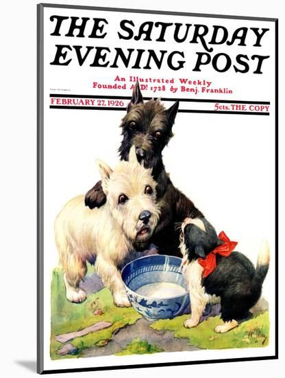 "Cat Guards Bowl of Milk," Saturday Evening Post Cover, February 27, 1926-Robert L. Dickey-Mounted Giclee Print