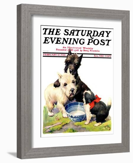 "Cat Guards Bowl of Milk," Saturday Evening Post Cover, February 27, 1926-Robert L. Dickey-Framed Giclee Print