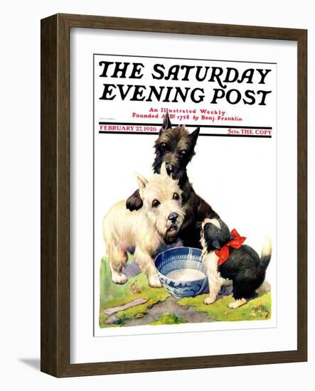 "Cat Guards Bowl of Milk," Saturday Evening Post Cover, February 27, 1926-Robert L. Dickey-Framed Giclee Print
