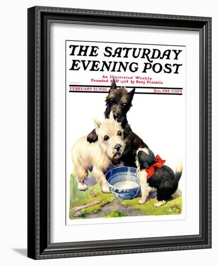 "Cat Guards Bowl of Milk," Saturday Evening Post Cover, February 27, 1926-Robert L. Dickey-Framed Giclee Print