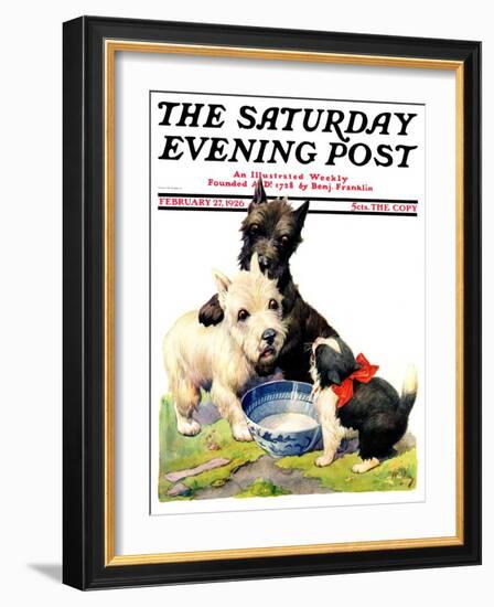 "Cat Guards Bowl of Milk," Saturday Evening Post Cover, February 27, 1926-Robert L. Dickey-Framed Giclee Print