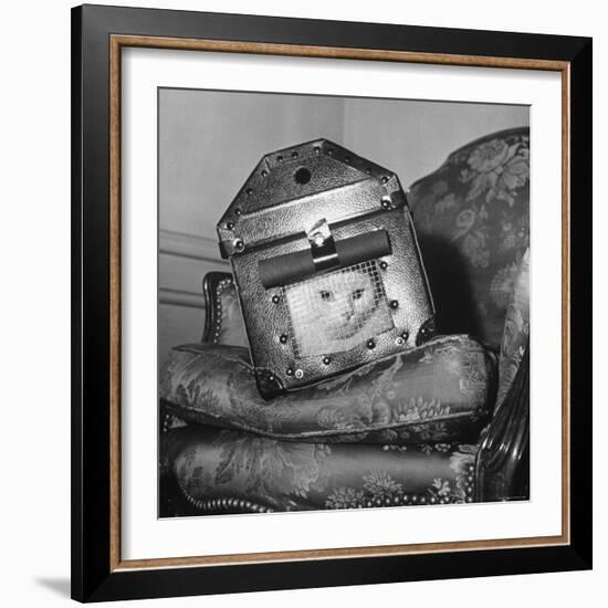 Cat in a Carrier During an Air Raid-John Phillips-Framed Photographic Print