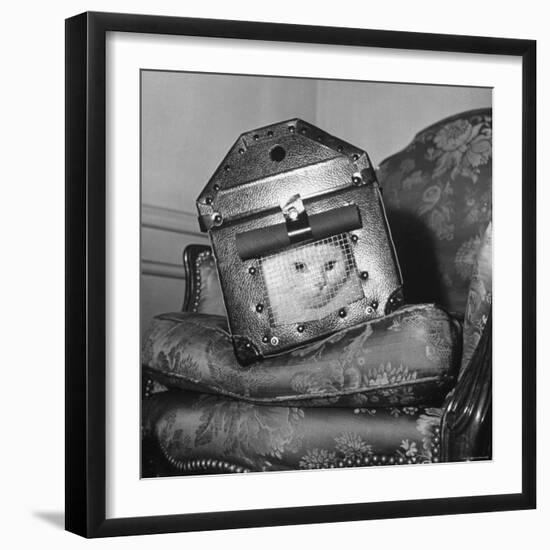 Cat in a Carrier During an Air Raid-John Phillips-Framed Photographic Print