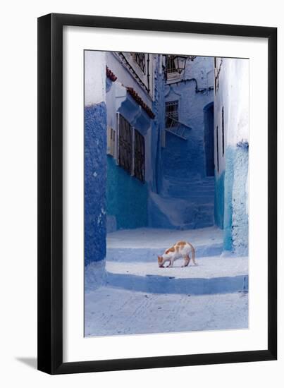 Cat in Alleyway in Morocco-Steven Boone-Framed Photographic Print