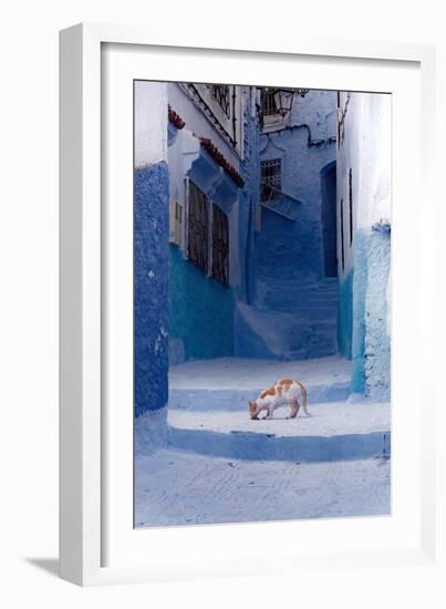 Cat in Alleyway in Morocco-Steven Boone-Framed Photographic Print