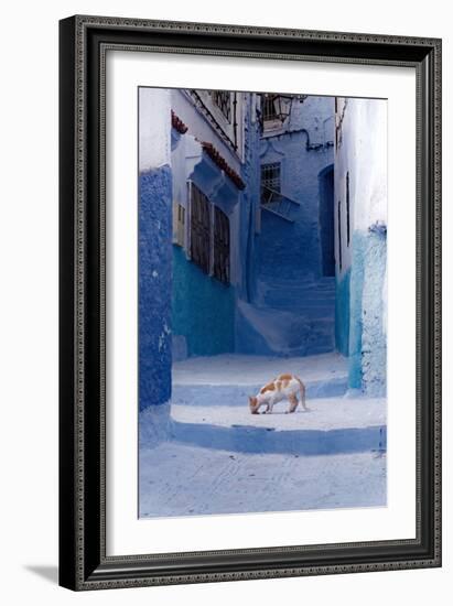 Cat in Alleyway in Morocco-Steven Boone-Framed Photographic Print