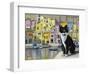 Cat in Corricella, Italy-Isy Ochoa-Framed Giclee Print