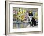 Cat in Corricella, Italy-Isy Ochoa-Framed Giclee Print