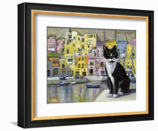 Cat in Corricella, Italy-Isy Ochoa-Framed Giclee Print