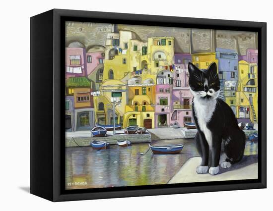 Cat in Corricella, Italy-Isy Ochoa-Framed Premier Image Canvas