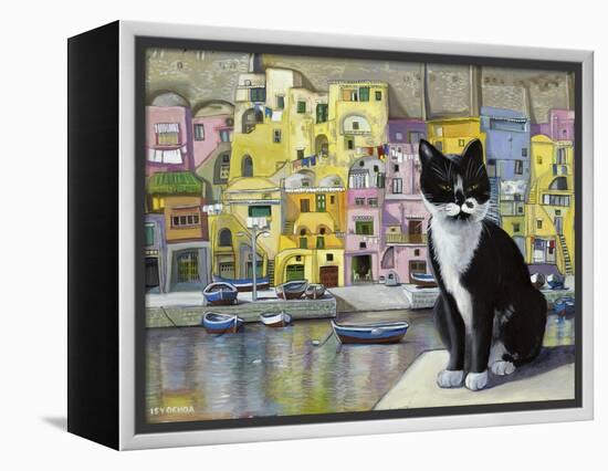 Cat in Corricella, Italy-Isy Ochoa-Framed Premier Image Canvas