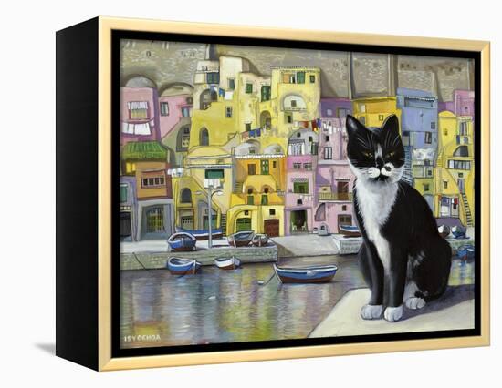 Cat in Corricella, Italy-Isy Ochoa-Framed Premier Image Canvas