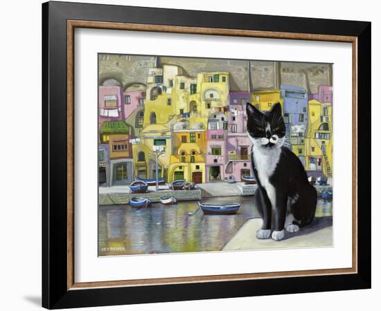 Cat in Corricella, Italy-Isy Ochoa-Framed Giclee Print