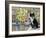 Cat in Corricella, Italy-Isy Ochoa-Framed Giclee Print