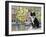 Cat in Corricella, Italy-Isy Ochoa-Framed Giclee Print