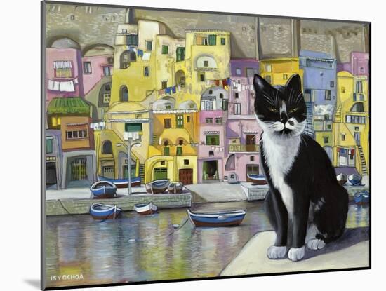 Cat in Corricella, Italy-Isy Ochoa-Mounted Giclee Print