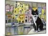 Cat in Corricella, Italy-Isy Ochoa-Mounted Giclee Print