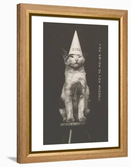 Cat in Dunce Cap-null-Framed Stretched Canvas