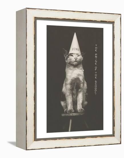 Cat in Dunce Cap-null-Framed Stretched Canvas