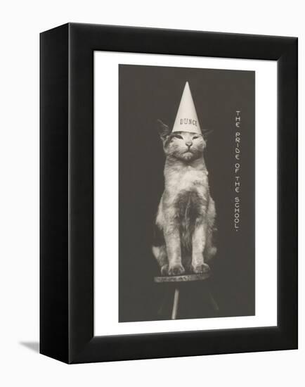 Cat in Dunce Cap-null-Framed Stretched Canvas