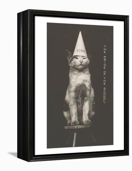 Cat in Dunce Cap-null-Framed Stretched Canvas