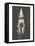 Cat in Dunce Cap-null-Framed Stretched Canvas