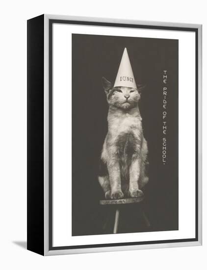 Cat in Dunce Cap-null-Framed Stretched Canvas