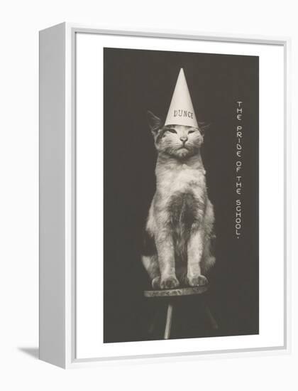 Cat in Dunce Cap-null-Framed Stretched Canvas