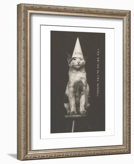 Cat in Dunce Cap-null-Framed Art Print