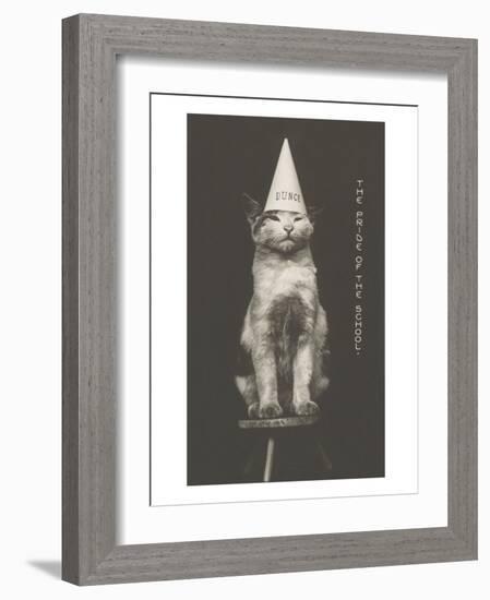 Cat in Dunce Cap-null-Framed Art Print