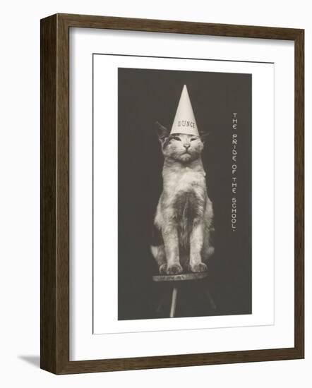 Cat in Dunce Cap-null-Framed Art Print