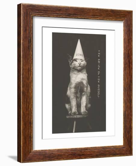 Cat in Dunce Cap-null-Framed Art Print