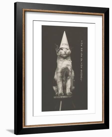 Cat in Dunce Cap-null-Framed Art Print