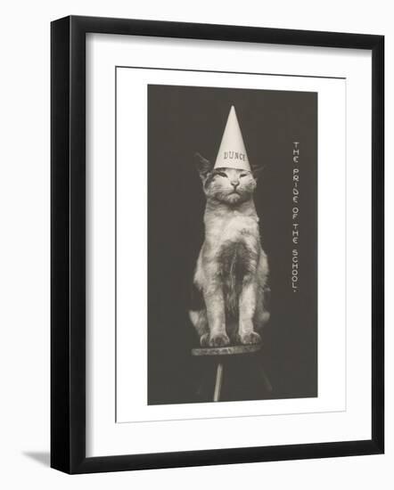 Cat in Dunce Cap--Framed Art Print